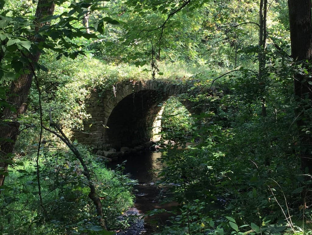 A stone bridge over a wooded creek — quiet, green, contemplative